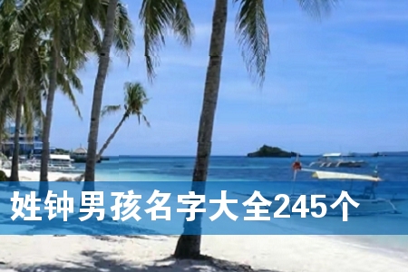 姓钟男孩名字大全245个