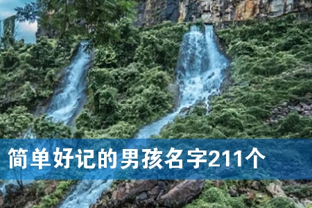 简单好记的男孩名字211个