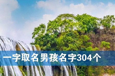 一字取名男孩名字304个