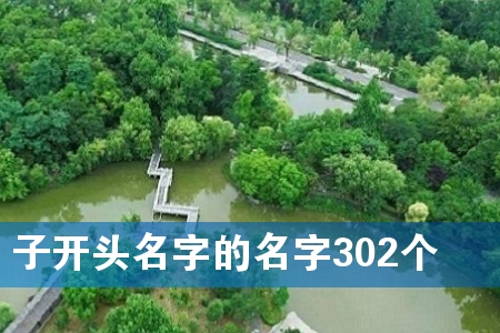 子开头名字的名字302个