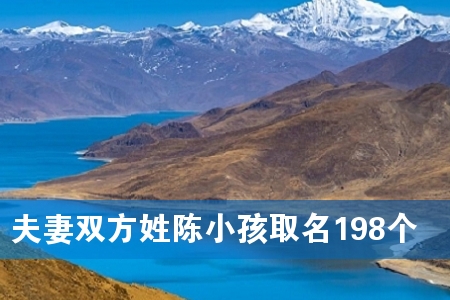 夫妻双方姓陈小孩取名198个