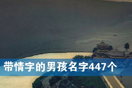 带情字的男孩名字447个