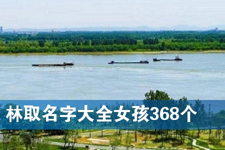 林取名字大全女孩368个