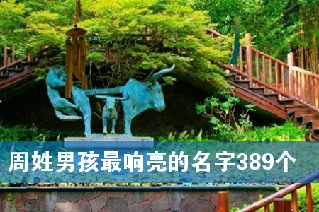 周姓男孩最响亮的名字389个