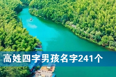 高姓四字男孩名字241个