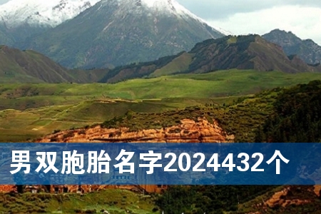 ˫̥2024432