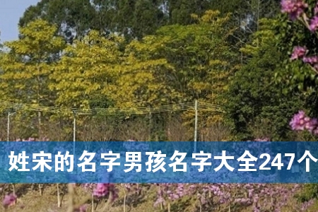 姓宋的名字男孩名字大全247个