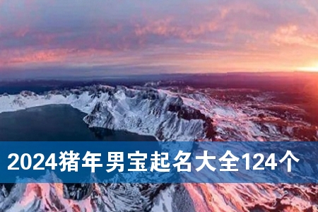 2024猪年男宝起名大全124个
