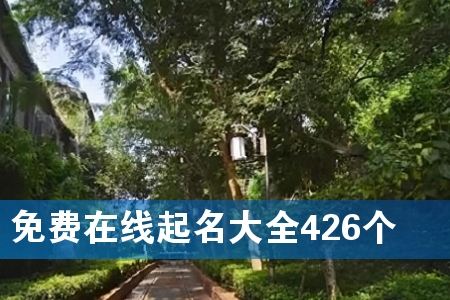 免费在线起名大全426个
